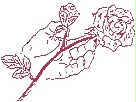 CWOZ Logo